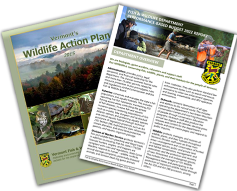 cover for Wildlife Action Plan and budget report
