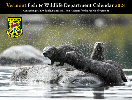 2024 Fish & Wildlife Calendar