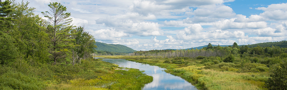 river winding through wetland with mountains in background