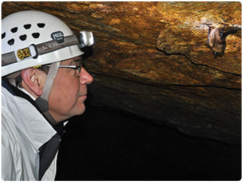 wildlife biologist observing a bat in a cave
