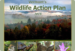 "cover for Wildlife Action Plan