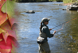 young woman fly fishing with fall leaves on right