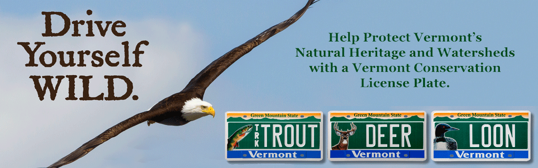 soaring eagle with three conservation license plates and drive yourself wild text