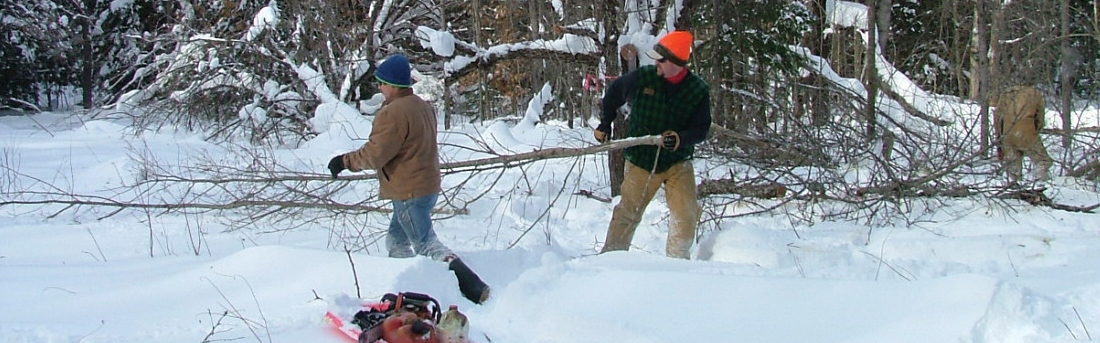 two volunteers releasing apple trees