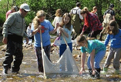 group of kids netting a stream