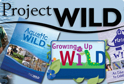 project wild book covers
