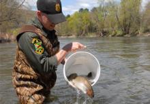 Beginner's Basics Videos  Vermont Fish & Wildlife Department