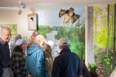 visitor viewing exhibits at Dead Creek Visitor Center