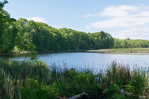 Halfmoon Cove WMA