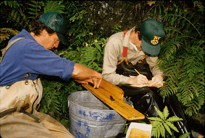 Rich Kirn measuring a fish