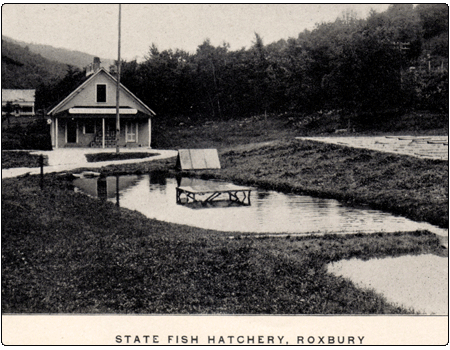 Historic Roxbury Fish Hatchery