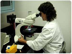 lab worker at microscope