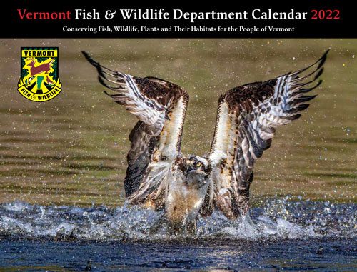 2021 Fish & Wildlife Calendar