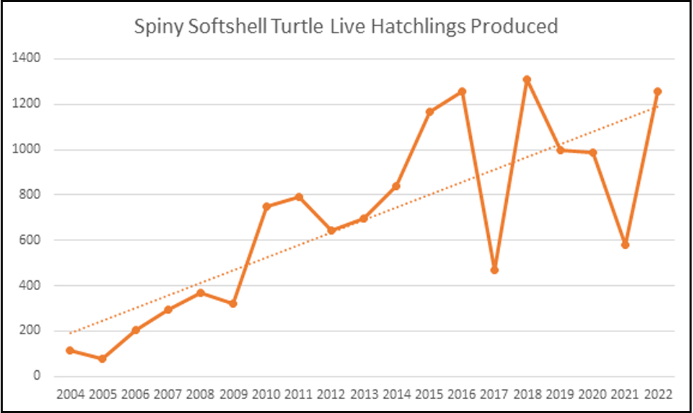 spiny softshell turtle nesting graph