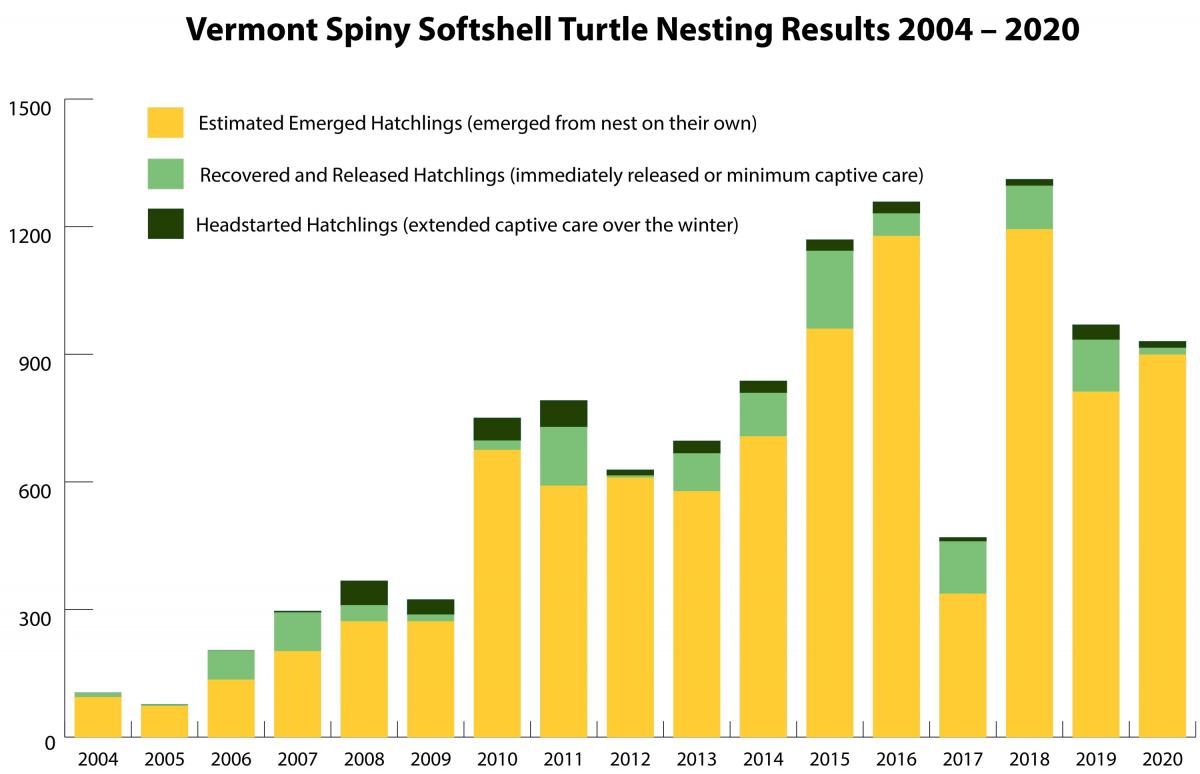 spiny softshell turtle nesting graph