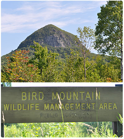 Bird Mountain and WMA sign