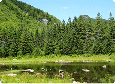 Camel's Hump