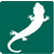 graphic of salamander