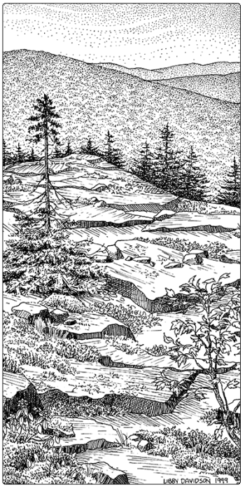 illustration of boreal outcrop
