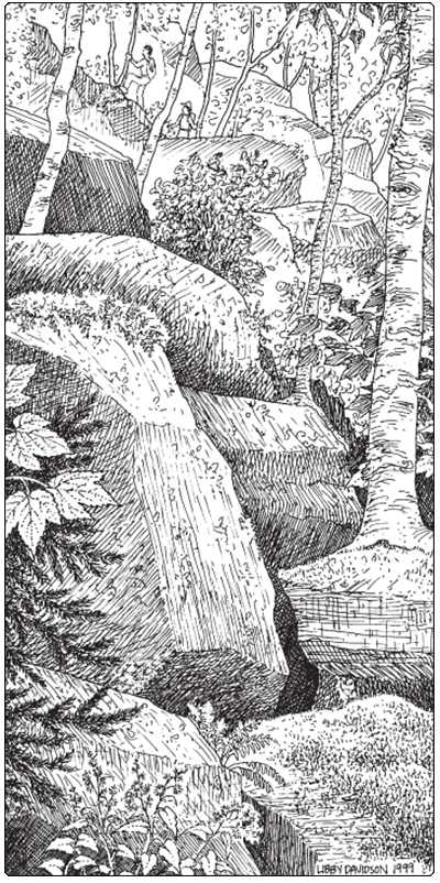 Illustration of a boreal talus