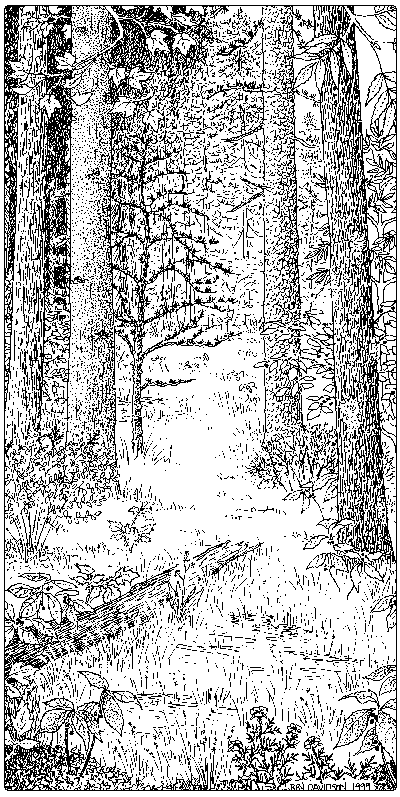 illustration of a calcareous red maple tamarack swamp