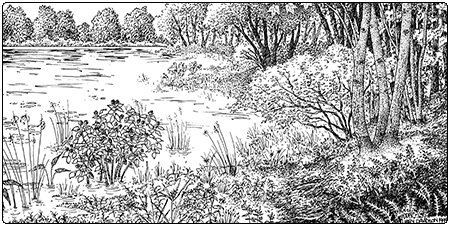illustration of outwash plain pondshore