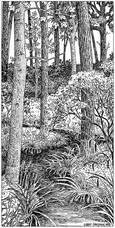 illustration of maple green ash swamp