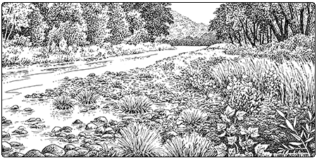 Illustration of river cobble shore