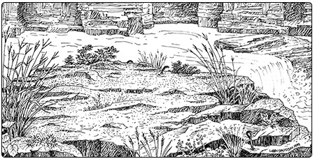 illustration of a riverside outcrop