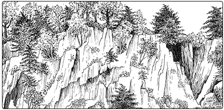 illustration of temperate acidic cliff