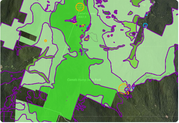 Mapped site of rare species