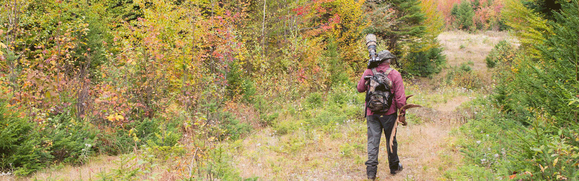 wildlife photographer walking the woods during fall foliage