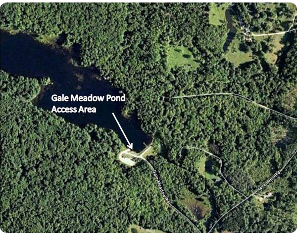 gale meadow map