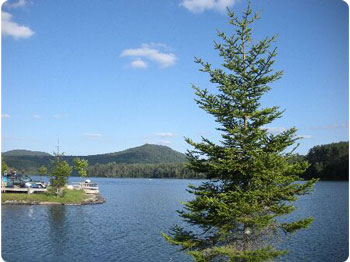 marshfield dam access area