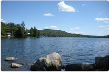 newark pond