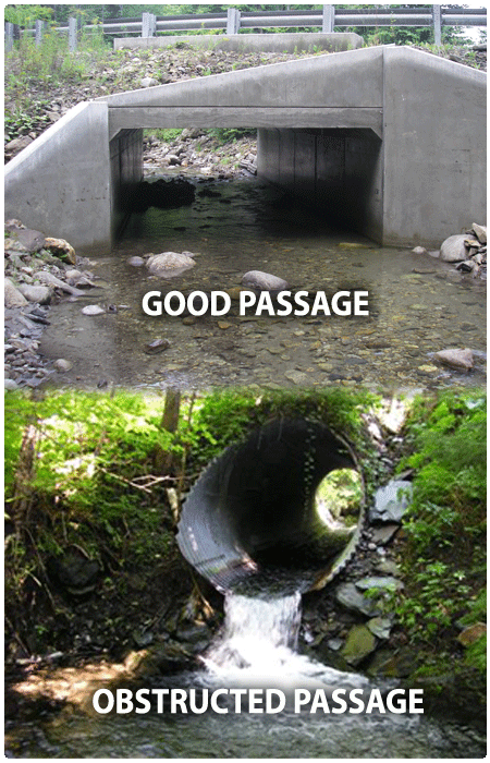 good stream crossing versus obstructed passage