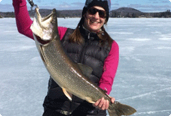 Lake Trout