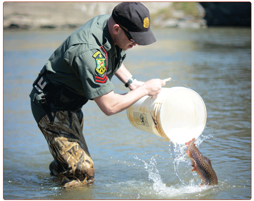 game warden stocking a rainbow trout