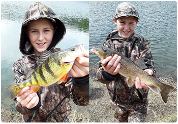 Young angler with a perch and sucker