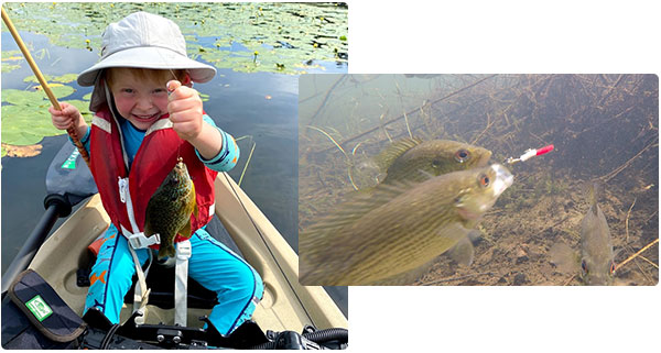 Young angler with a fish and fish chasing a lure.