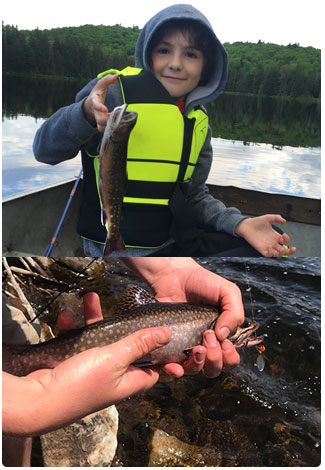 anglers with wild brook trout