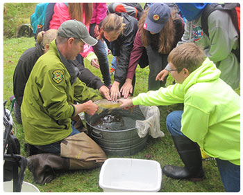Fisheries biologist showing students a fish 
