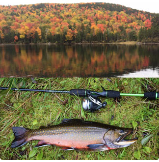 fall foliage and great fishing