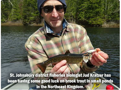 angler with brook trout