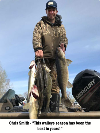 man with several walleye on stringer