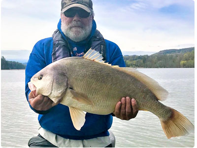 VT Fishing Report - Week of May 13 2019 Vermont Fish 