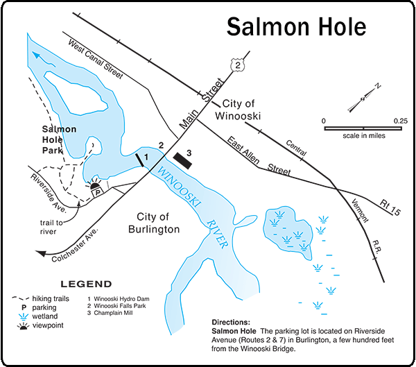 salmon hole map