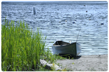 canoe with fishing poles