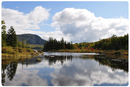 Stillwater State Park on Lake Groton | Vermont Fish & Wildlife Department