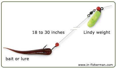 Lindy Rig